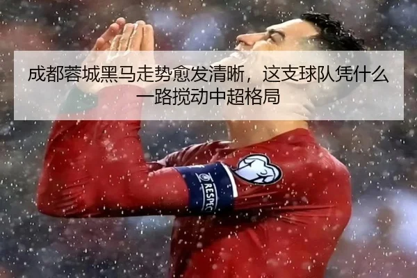 成都蓉城黑马走势愈发清晰，这支球队凭什么一路搅动中超格局